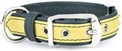 MyFamily Adjustable Dog Collar In Genuine Italian Made Leather, White Bronze Metallic Finish, Comfortable And Durable, Handmade, Florence Collection -Zoomie Shop 41zgbE93GrL. AC