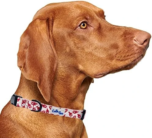 CUTIE TIES Dog Collar Breakfast Club – Durable Nylon Material - Premium Quality Collars For Dogs - Cute Dog Collars In Three Sizes (Breakfast Club, Medium (13" - 20")) 15 CUTIE TIES Dog Collar Breakfast Club – Durable Nylon Material - Premium Quality Collars For Dogs - Cute Dog Collars In Three Sizes (Breakfast Club, Medium (13" - 20")) - Image 15