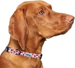 CUTIE TIES Dog Collar Breakfast Club – Durable Nylon Material - Premium Quality Collars For Dogs - Cute Dog Collars In Three Sizes (Breakfast Club, Medium (13" - 20")) 26 CUTIE TIES Dog Collar Breakfast Club – Durable Nylon Material - Premium Quality Collars For Dogs - Cute Dog Collars In Three Sizes (Breakfast Club, Medium (13" - 20")) -Zoomie Shop 51 kFk9OoL. AC
