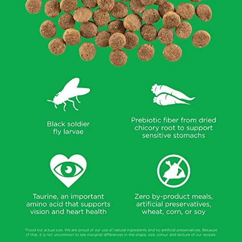 GO! SOLUTIONS SENSITIVITIES – Insect Recipe – Limited Ingredient Dog Food, 22 Lb – Grain Free Dog Food For All Life Stages 2 GO! SOLUTIONS SENSITIVITIES – Insect Recipe – Limited Ingredient Dog Food, 22 Lb – Grain Free Dog Food For All Life Stages - Image 2