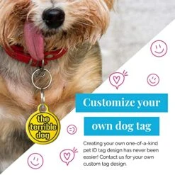 Dog Tag Art Food-Themed Custom Pet ID Tags For Dogs And Cats, Personalized Dog Tags With Customized Identification Informatio - Summer Strawberry - Large -Zoomie Shop 510e1iStkZL