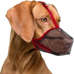 Lepark Dog Muzzle With Mesh Cover Muzzle For Small Medium Large Dogs, Prevent Biting Barking And Licking(S,Black) -Zoomie Shop 5116SmObmDL. AC