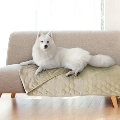 Furrybaby Waterproof Dog Bed Cover For Dog Beds & Furniture Machine Washable Waterproof Dog Blanket Anti Slip Couch Protector For Dogs Cats And Other Pets (Creamy-White, 82x102inch) -Zoomie Shop 511XS0Xtg8L. AC