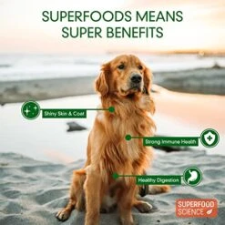 Superfood Science-Plant Based Dog Treats With Sweet Potato, Chia, Flaxseed, And Coconut Oil For Healthy Skin And Coat, Natural, Gluten Free Vegetarian Hypoallergenic, Protein Dog Training Treats 5 Oz 8 Superfood Science-Plant Based Dog Treats With Sweet Potato, Chia, Flaxseed, And Coconut Oil For Healthy Skin And Coat, Natural, Gluten Free Vegetarian Hypoallergenic, Protein Dog Training Treats 5 Oz -Zoomie Shop 511hQjQjcSL