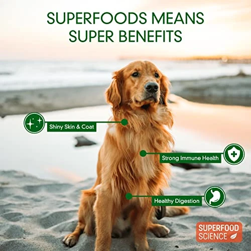 Superfood Science-Plant Based Dog Treats With Sweet Potato, Chia, Flaxseed, And Coconut Oil For Healthy Skin And Coat, Natural, Gluten Free Vegetarian Hypoallergenic, Protein Dog Training Treats 5 Oz 4 Superfood Science-Plant Based Dog Treats With Sweet Potato, Chia, Flaxseed, And Coconut Oil For Healthy Skin And Coat, Natural, Gluten Free Vegetarian Hypoallergenic, Protein Dog Training Treats 5 Oz - Image 4