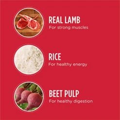 IAMS Large Breed Adult Dry Dog Food Lamb & Rice Recipe, 30 Lb. Bag 9 IAMS Large Breed Adult Dry Dog Food Lamb & Rice Recipe, 30 Lb. Bag -Zoomie Shop 511uuJW4GrL