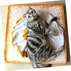 Balacoo 3pcs D Small Pad For Large Bed Pet Resistant Kitten Blanket Funny Blankets Sleep Of Animal Fleece Breakfast Dog Water Animals Mat Egg Dogs& Food Made Cat Other Dogs Fuzz Cm -Zoomie Shop 51256F1DCtL