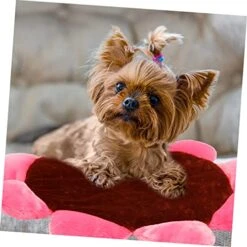 CRILSTYLEO Pet Mat Small Pet Bed Plush Cat Mat Kitten Mat Pad Washable Dog Beds Cat Mat For Food Thick Mattress Topper Full Pet Nest Cushion Dog Sleeping Cushion Household Pet Bed Brown Puppy -Zoomie Shop 5127eyzZQBL