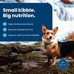 Blue Buffalo Healthy Weight Small Breed Dog Food, Life Protection Formula, Natural Chicken & Brown Rice Flavor, Adult Dry Dog Food, 15 Lb Bag 9 Blue Buffalo Healthy Weight Small Breed Dog Food, Life Protection Formula, Natural Chicken & Brown Rice Flavor, Adult Dry Dog Food, 15 Lb Bag -Zoomie Shop 512GxGeMyXL