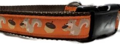 Autumn Dog Collar, Caninedesign, Fall, 1 Inch Wide, Adjustable, Nylon, Medium And Large (Fox, Large 15-22") -Zoomie Shop 512aHCBQpBL. AC