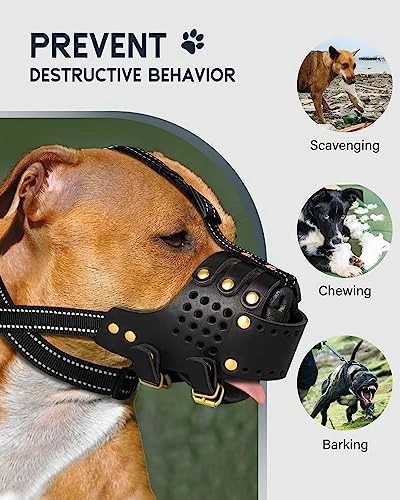 Dog Muzzle Leather, Pitbull Muzzle Amstaff Muzzles Staffordshire Terrier Secure Basket, Breathable And Adjustable Soft Muzzle For Medium Large Breeds Anti Biting Barking Chewing (Black, M) 2 Dog Muzzle Leather, Pitbull Muzzle Amstaff Muzzles Staffordshire Terrier Secure Basket, Breathable And Adjustable Soft Muzzle For Medium Large Breeds Anti Biting Barking Chewing (Black, M) - Image 2