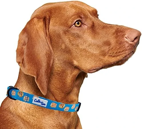 CUTIE TIES Dog Collar Breakfast Club – Durable Nylon Material - Premium Quality Collars For Dogs - Cute Dog Collars In Three Sizes (Breakfast Club, Medium (13" - 20")) 13 CUTIE TIES Dog Collar Breakfast Club – Durable Nylon Material - Premium Quality Collars For Dogs - Cute Dog Collars In Three Sizes (Breakfast Club, Medium (13" - 20")) - Image 13