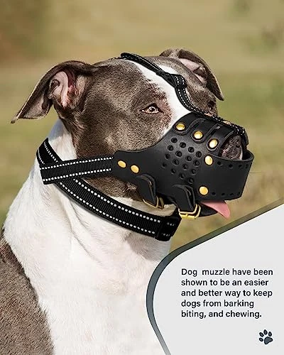 Dog Muzzle Leather, Pitbull Muzzle Amstaff Muzzles Staffordshire Terrier Secure Basket, Breathable And Adjustable Soft Muzzle For Medium Large Breeds Anti Biting Barking Chewing (Black, M) 7 Dog Muzzle Leather, Pitbull Muzzle Amstaff Muzzles Staffordshire Terrier Secure Basket, Breathable And Adjustable Soft Muzzle For Medium Large Breeds Anti Biting Barking Chewing (Black, M) - Image 7