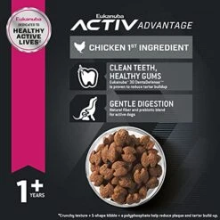 Eukanuba Adult Small Breed Dry Dog Food, 15 Lb -Zoomie Shop 513dBbsZucS