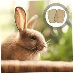 Mipcase 6 Pcs Rabbit Mat Chinchilla Chew Toys Kitten Toys Chinchilla Bedding Dog Cooling Mat Cooling Rabbit Grass Mat Rabbit Cooling Pad Cooling Grass Mat Manual Bed Linings Hamster Pad -Zoomie Shop 513dUyLwptL