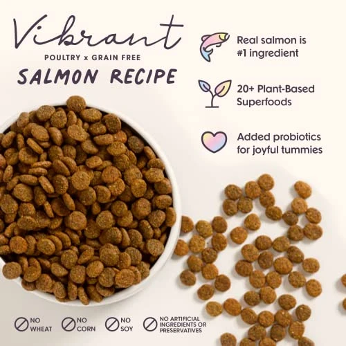 Bundle X Joy Vibrant Salmon Superfood Dog Food - 4lb Bag - Probiotics - Poultry Free 2 Bundle X Joy Vibrant Salmon Superfood Dog Food - 4lb Bag - Probiotics - Poultry Free - Image 2
