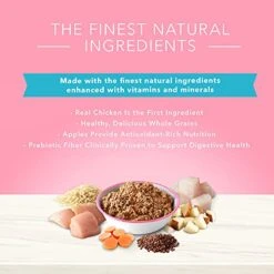 Blue Buffalo True Solutions Blissful Belly Natural Digestive Care Adult Wet Dog Food, Chicken 12.5-oz Cans (Pack Of 12) -Zoomie Shop 5141KRwKryL