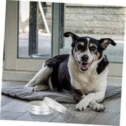 10pcs Tools Vessel Tools Threading Tool Dog Scent Training Kit Dog Scent Work Container Nose Work Dog Training Kit Dogs Scent Training Tool Dog Training Aroma Case Suite -Zoomie Shop 514Ql44AJeL