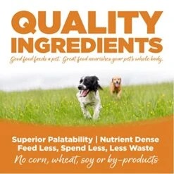NutriSource Adult Dog Food, Made With Lamb & Rice, With Wholesome Grains, 15LB, Dry Dog Food 12 NutriSource Adult Dog Food, Made With Lamb & Rice, With Wholesome Grains, 15LB, Dry Dog Food -Zoomie Shop 514l5cGgD6L