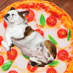 Puppy Blanket Thick Mattress Topper Full Dog Warm Sleeping Of 2 Dog Plush Blanket Pet Plush Blanket Dog Bed Blankets Blanket Mat: Soft Puppy Blanket Plush Throw Blankets