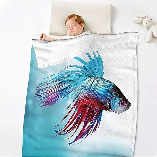 Sky Blue Dark Coral Throw Blanket For Couch, Bed, Sofa. Super Soft Lightweight Blanket, Throw Blanket Cozy, Warm And Breathable Fish Swimming Aquarium Sea Animal 70x80 Inches Aquarium 2 Sky Blue Dark Coral Throw Blanket For Couch, Bed, Sofa. Super Soft Lightweight Blanket, Throw Blanket Cozy, Warm And Breathable Fish Swimming Aquarium Sea Animal 70x80 Inches Aquarium - Image 2
