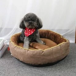 SENERY Warm Thicken Fleece Dogs Bed Round Pet Lounger Cushion For Small Medium Large Dogs Winter Cat Kennel Puppy Mats 17 SENERY Warm Thicken Fleece Dogs Bed Round Pet Lounger Cushion For Small Medium Large Dogs Winter Cat Kennel Puppy Mats -Zoomie Shop 515MuNjzwcL. AC