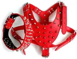 Kuntrona Large Dog Harness And Collar Set Spiked & Studded Leather Dog Pet Harness Collar For Pit Bull Mastiff Medium Large Dogs Green M -Zoomie Shop 515P9aSD3YL. AC