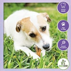 Nature Gnaws Braided Gnaws For Dogs - Premium Natural Beef Dog Chew Treats - Combo Of Bully Sticks, Gullet Jerky And Tripe Twists - Rawhide Free 11 Nature Gnaws Braided Gnaws For Dogs - Premium Natural Beef Dog Chew Treats - Combo Of Bully Sticks, Gullet Jerky And Tripe Twists - Rawhide Free -Zoomie Shop 515TWM7yOeL