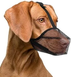 Lepark Dog Muzzle With Mesh Cover Muzzle For Small Medium Large Dogs, Prevent Biting Barking And Licking(S,Black) -Zoomie Shop 515aVM 2nFL. AC 1