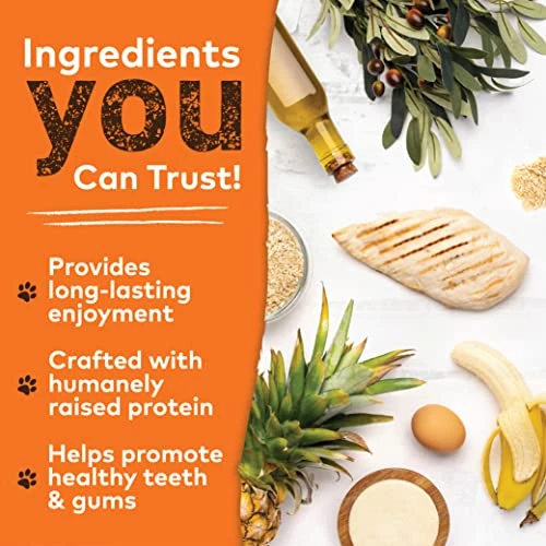 EARTH ANIMAL No Hide Medium Chicken Flavored Natural Rawhide Free Dog Chews Long Lasting Dog Chew Sticks | Dog Treats For Large Dogs | Great Dog Chews For Aggressive Chewers 5 EARTH ANIMAL No Hide Medium Chicken Flavored Natural Rawhide Free Dog Chews Long Lasting Dog Chew Sticks | Dog Treats For Large Dogs | Great Dog Chews For Aggressive Chewers - Image 5