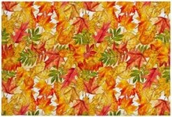 Pet Paws Wood Grain Thin Door Mats For Inside Entry Non Slip Blue Wipe Your Paws Entrance Rug Door Mat Front Back Door Rug TPR Backing Floor Mats 19.7x47.2 -Zoomie Shop 516YjhsMZL. AC