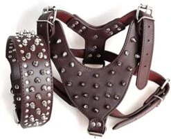 Kuntrona Large Dog Harness And Collar Set Spiked & Studded Leather Dog Pet Harness Collar For Pit Bull Mastiff Medium Large Dogs Green M -Zoomie Shop 517N3EVxNZL. AC 2