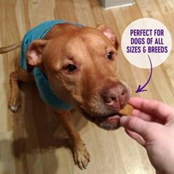 Wellness WellBars Natural Grain Free Crunchy Dog Treats, Yogurt, Apples & Banana, 45-Ounce Bag -Zoomie Shop 517NiF7WWRL