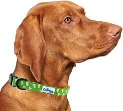 CUTIE TIES Dog Collar Breakfast Club – Durable Nylon Material - Premium Quality Collars For Dogs - Cute Dog Collars In Three Sizes (Breakfast Club, Medium (13" - 20")) 25 CUTIE TIES Dog Collar Breakfast Club – Durable Nylon Material - Premium Quality Collars For Dogs - Cute Dog Collars In Three Sizes (Breakfast Club, Medium (13" - 20")) -Zoomie Shop 517i1ZNenqL. AC
