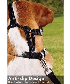 Dog Muzzle,Soft Basket Silicone Muzzles For Dog, Best To Prevent Biting, Chewing And Barking, Allows Drinking And Panting, Used With Collar 18 Dog Muzzle,Soft Basket Silicone Muzzles For Dog, Best To Prevent Biting, Chewing And Barking, Allows Drinking And Panting, Used With Collar -Zoomie Shop 517snj9HC8L