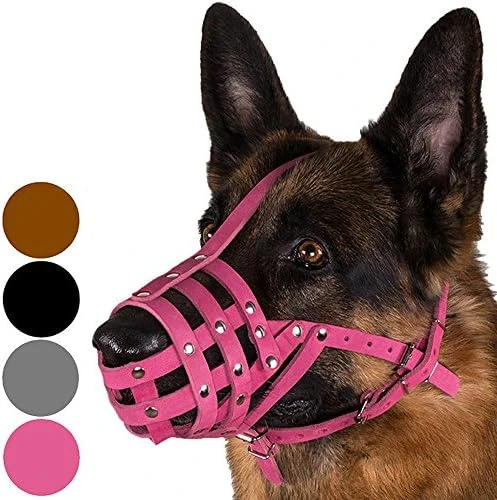CollarDirect Dog Muzzle German Shepherd Dalmatian Doberman Setter Leather Basket Medium Large Breeds Black Brown (M, Chestnut Brown) 12 CollarDirect Dog Muzzle German Shepherd Dalmatian Doberman Setter Leather Basket Medium Large Breeds Black Brown (M, Chestnut Brown) - Image 12