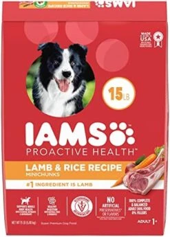 IAMS Minichunks Adult Dry Dog Food Lamb & Rice Recipe Dog Kibble, 38.5 Lb. Bag -Zoomie Shop 5186yeDhYNL. AC
