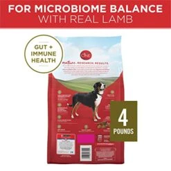 Purina ONE Dry Dog Food Lamb And Rice Formula - (4) 4 Lb. Bags 9 Purina ONE Dry Dog Food Lamb And Rice Formula - (4) 4 Lb. Bags -Zoomie Shop 518AYtn2dXL
