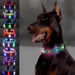 Joytale Light Up Dog Collars Rechargeable, High Visibility LED Dog Collar for Pet Night Walking, 3 Flash Modes, Rainproof PVC Glow Collar Adjustable for Small Medium Large Dogs, Teal, L -Zoomie Shop 518G8WrAlZL. AC