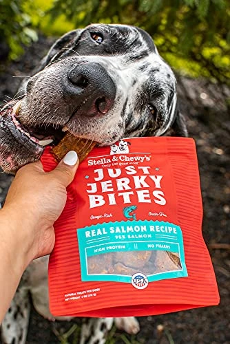 Stella & Chewy's Just Jerky Bites Real Beef Recipe Dog Treats, 6 Oz. Bag 3 Stella & Chewy's Just Jerky Bites Real Beef Recipe Dog Treats, 6 Oz. Bag - Image 3