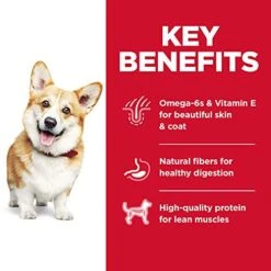 Hill's Science Diet Dry Dog Food, Adult, Small Bites, Chicken & Barley Recipe, 5 Lb. Bag -Zoomie Shop 518c4BeBogL