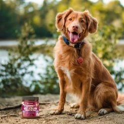 Visionary Pet Foods - Real Beef Meat Spread For Dogs | Healthier Choice To Peanut Butter | Easy Use As Dog Lick Mat Treat, Chew Toy Filler, Meal Mixers Or Pill Pockets - 10 Fl. Oz Jar -Zoomie Shop 518gxu1ObtL