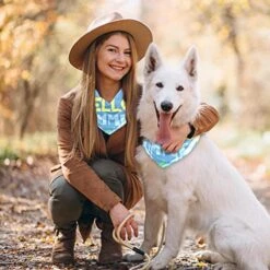 2 Pack Adjustable Dog Bandana,Soft Washable Triangle Bib Hello Summer Cute Food Ice Cream Pineapple Kerchief Scarfs For Small Medium Large Dogs And Cats -Zoomie Shop 518uNT9Vk2L