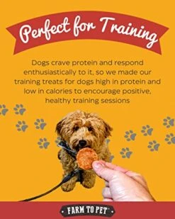 Farm To Pet Chicken Chips For Dogs - Single Ingredient All Natural Dog Treats For Small, Medium, & Large Dogs | Healthy Training Treats For All Breeds & Puppies, Made In USA -Zoomie Shop 5191RrHNQyL