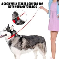 30 Pieces Slip Leads Dog Leash Pet Rope Strong Pulling Kennel Leads With O-Ring Durable For Dogs Walking Training (Neon Green, Orange, Yellow, Blue, Red, Black) -Zoomie Shop 519HPJsVjVL