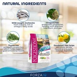 Forza10 Legend Digestion Dry Grain Free Dog Food, Sensitive Stomach Dog Food With Curative Herbs, 5 Pounds, Premium Quality Wild Caught Anchovy Flavor, For Adult Dogs, All Breeds -Zoomie Shop 519oz4ETOwL
