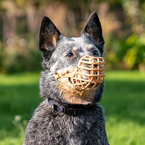 Safe BASKERVILLE ANTI SCAVENGE MUZZLE, Size 5, Dog Can Pant And Drink, Prevents Biting And Food Waste Scavenging, Ideal For Longer Nosed Dogs, Breathable Dog Training Muzzle For Medium Dogs 4 Safe BASKERVILLE ANTI SCAVENGE MUZZLE, Size 5, Dog Can Pant And Drink, Prevents Biting And Food Waste Scavenging, Ideal For Longer Nosed Dogs, Breathable Dog Training Muzzle For Medium Dogs - Image 4