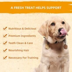 Jungle Calling Dog Treats Chicken Jerky Training Treats, Slow Roasted Snacks For Medium And Large Dogs Chewy Treats 10.6 Ounce (Chicken Fillet) 6 Jungle Calling Dog Treats Chicken Jerky Training Treats, Slow Roasted Snacks For Medium And Large Dogs Chewy Treats 10.6 Ounce (Chicken Fillet) -Zoomie Shop 51APEtmWpKL