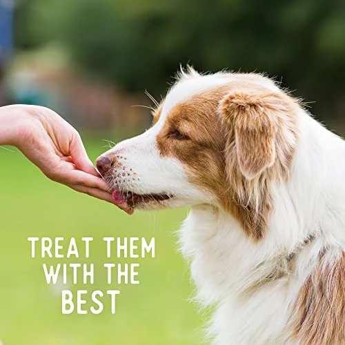 Beg & Barker Chicken Chips For Dogs (8oz, Pack Of 1) - Single Ingredient Dog Treats Made For Small And Large Dogs Protein Human Grade Dog Treats Made From Real Meat Chicken, Made In USA 3 Beg & Barker Chicken Chips For Dogs (8oz, Pack Of 1) - Single Ingredient Dog Treats Made For Small And Large Dogs Protein Human Grade Dog Treats Made From Real Meat Chicken, Made In USA - Image 3