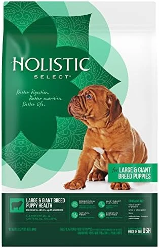 Holistic Select Natural Dry Dog Food, Lamb Meal Recipe, 30-Pound Bag 6 Holistic Select Natural Dry Dog Food, Lamb Meal Recipe, 30-Pound Bag - Image 6